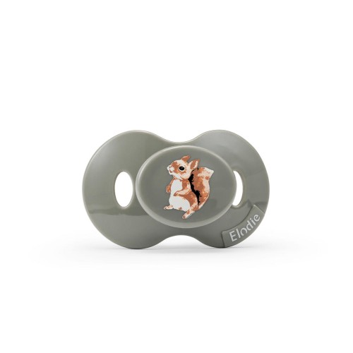 2419e052935f5c75d0df1f3049cfb787